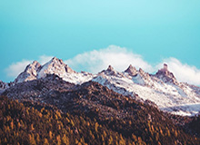 华体会体育下载-错失打破僵局良机！梅西右脚射门被扑，贝尔特拉梅包抄被解围